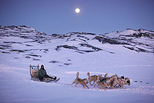 http://humanplanet.com/timothyallen/wp-content/uploads/2011/01/Greenland_Timothy-Allen_12.jpg